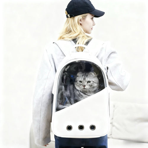 Bolso de transporte transparente para gatos. Diseño minimalista y transpirable