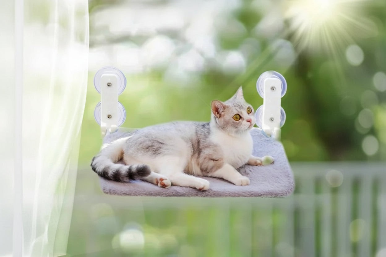 Hamaca de ventana para gatos. Instalación sin taladro y descanso en altura