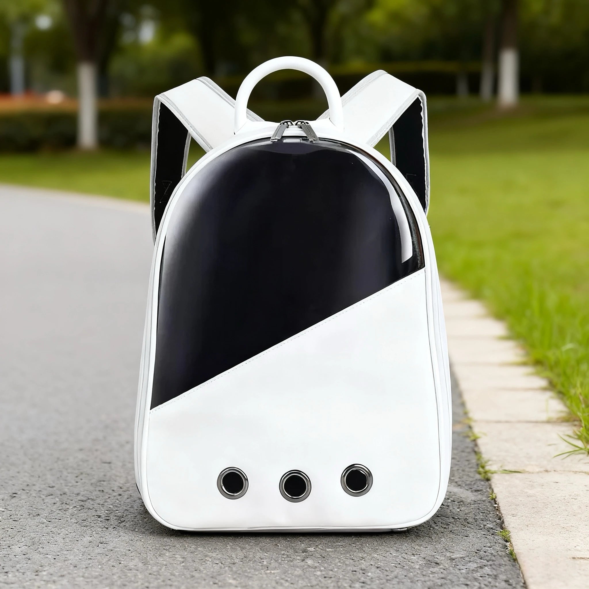 Bolso de transporte transparente para gatos. Diseño minimalista y transpirable