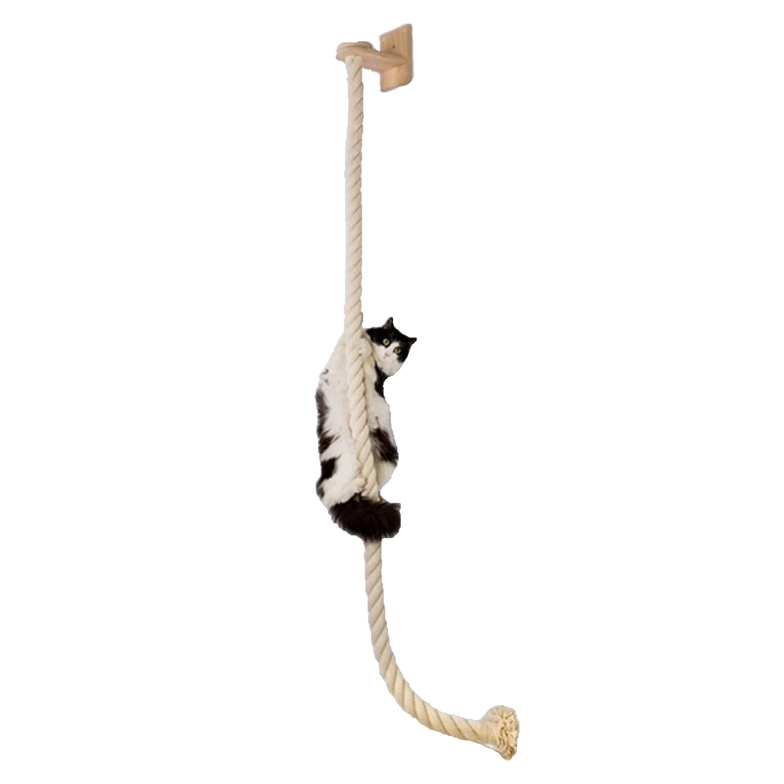 Circuito mural 3D para gatos. Casa, hamaca y escalones