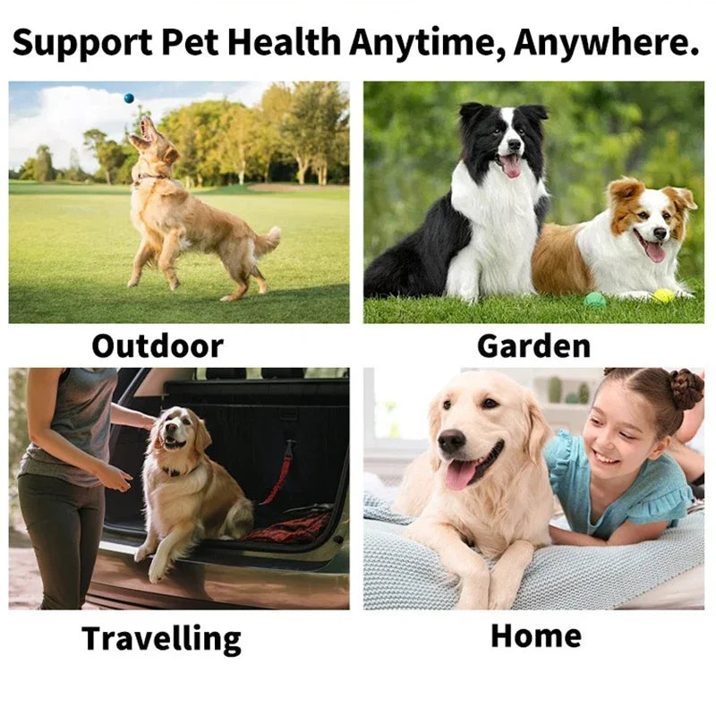 Toallitas oculares para gatos. Elimina manchas de lágrimas sin esfuerzo