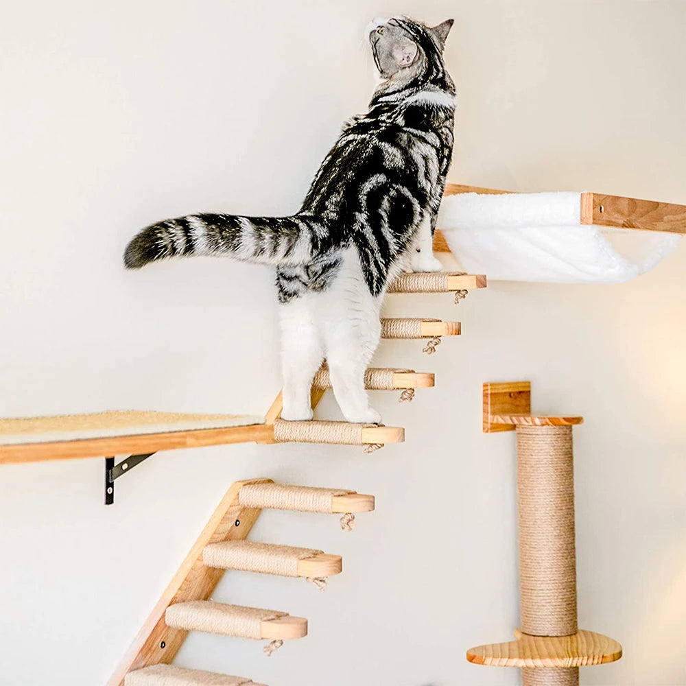 Circuit mural 3D pour chats — Maison, hamac et marches
