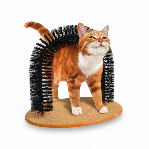 CatLoft self-grooming arch brush and scratcher with a textured base for cats to rub and scratch against.